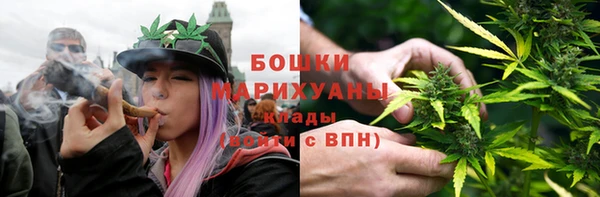 PSILOCYBIN Аркадак