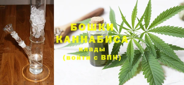 PSILOCYBIN Аркадак